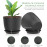7 Inch Plastic Flower Pot Set – 5 Pack (Black)