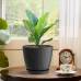 7 Inch Plastic Flower Pot Set – 5 Pack (Black)