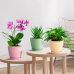 7 Inch Plastic Flower Pot Set – 5 Pack (Multicolour – Light)