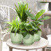 7 Inch Plastic Flower Pot Set – 5 Pack (Pista Green)